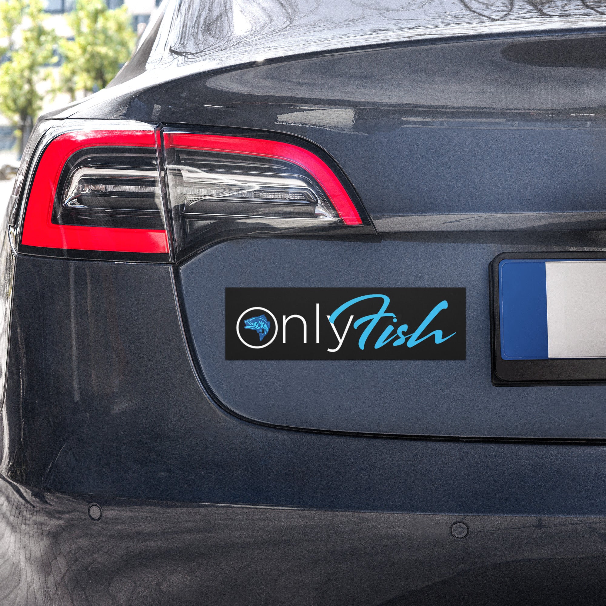 OnlyFish Car Magnet