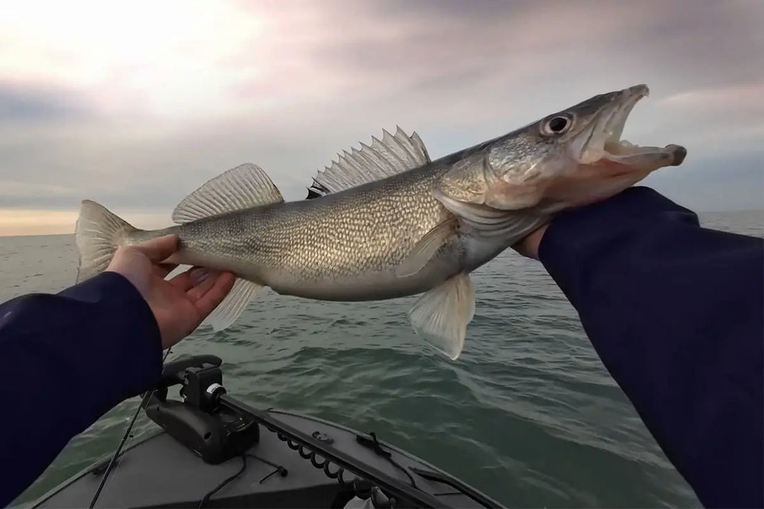 Best Fishing Spots in the U.S. for 2026 - Reel Life