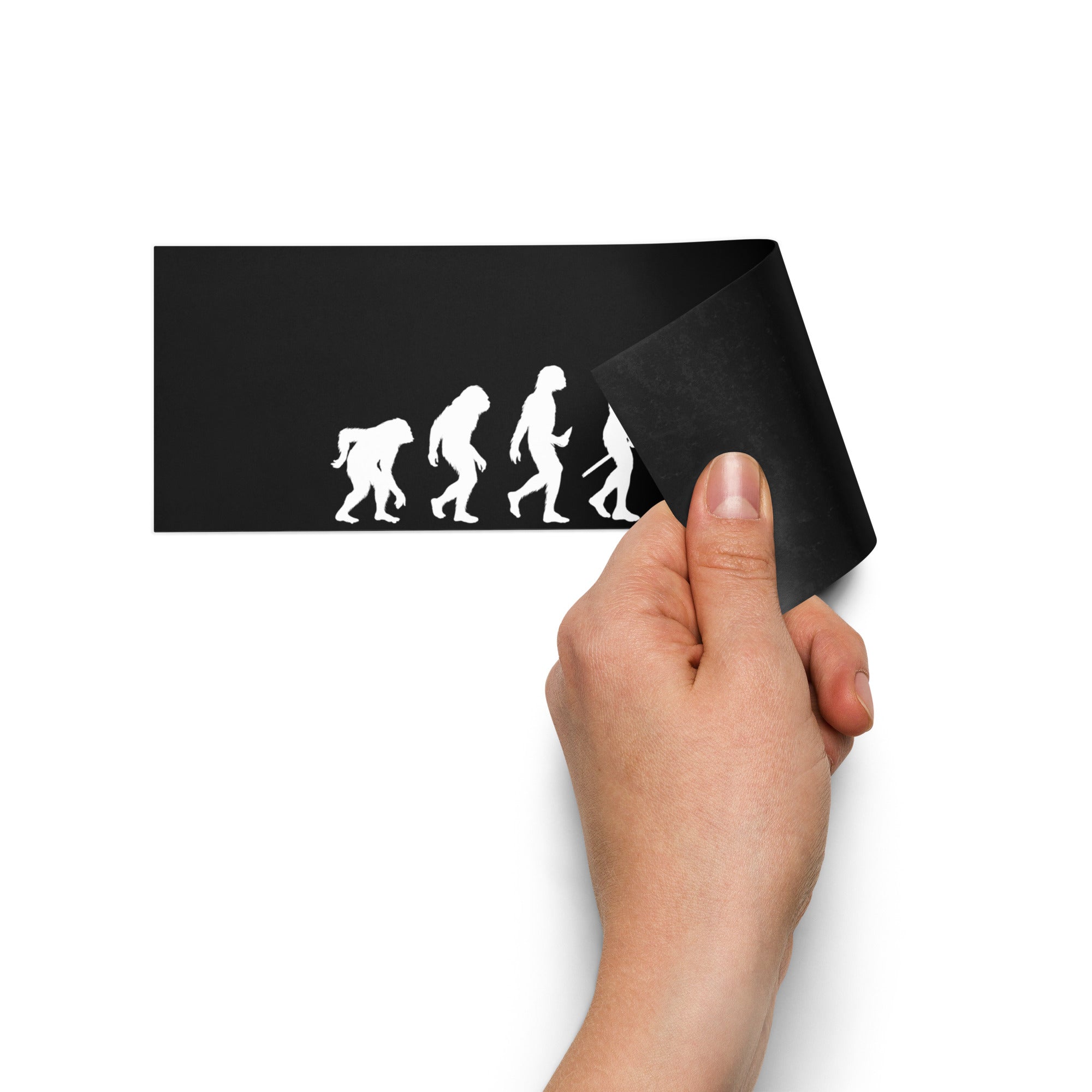 Human Evolution Car Magnet
